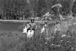 vier retro scooters in colonne Meetjesland