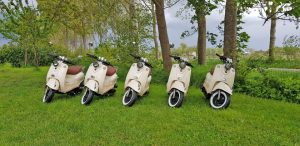 Stoere ride langs grazende stieren Meetjesland